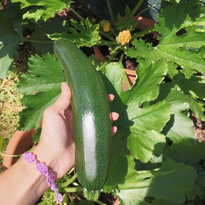 Processed with VSCO with v5 preset